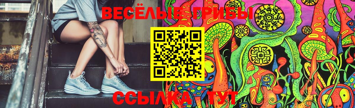 Новозыбков  Галлюциногенные грибы ЛСД  Вход с VPN 